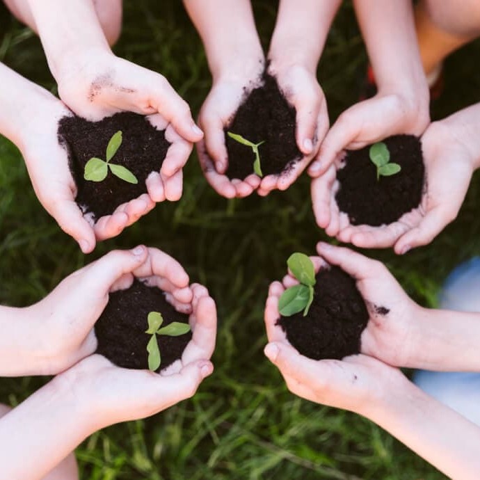 Sample publication - 1